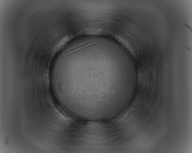 X0000093240682200710171441