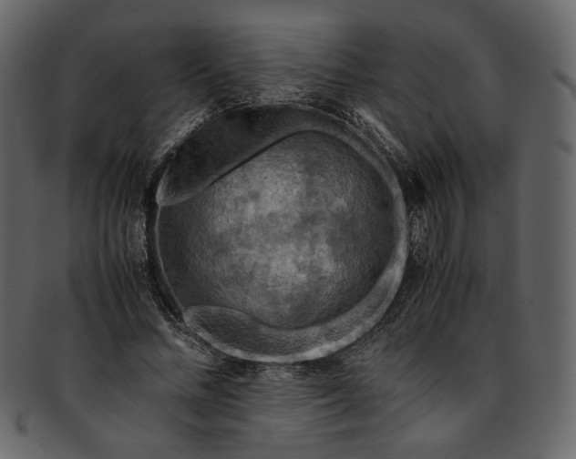 X0000093240684200710171441