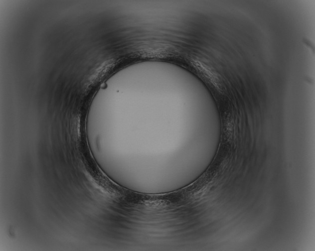 X0000093240686200710171441