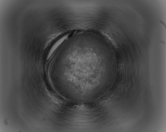 X0000093240688200710171441