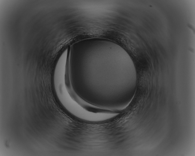 X0000093240689200710171441