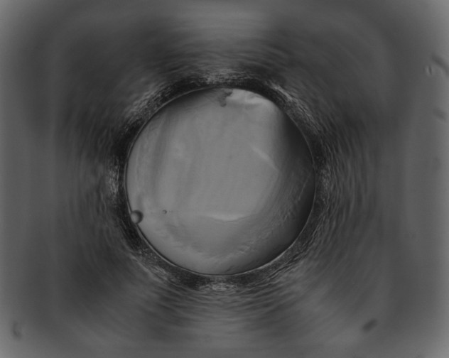 X0000093240691200710171441