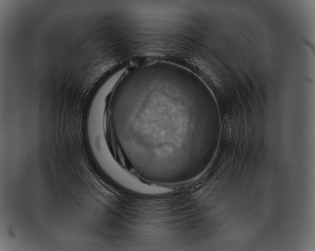 X0000093240692200710171441