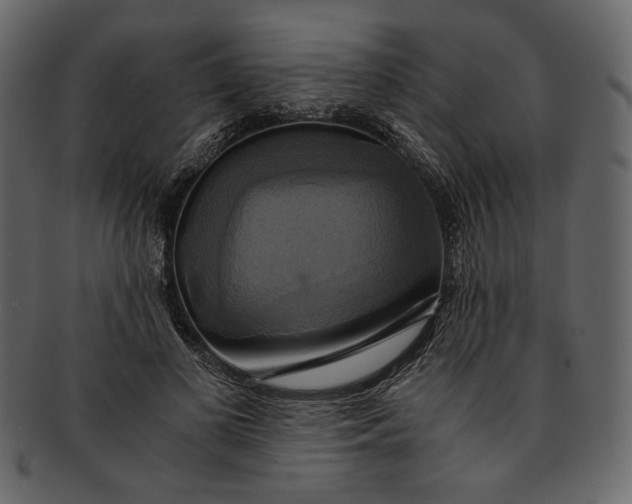 X0000093240693200710171441