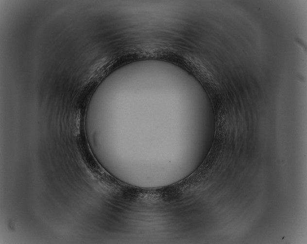 X0000093240694200710171441