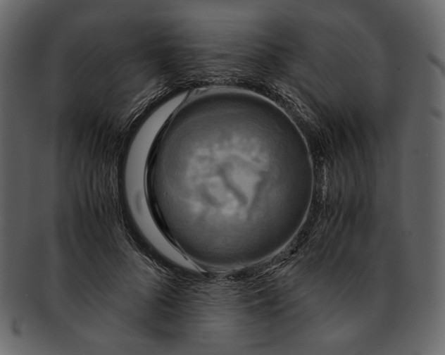 X0000093240696200710171441