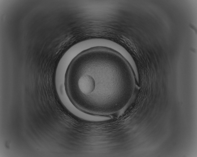 X0000093240697200710171441