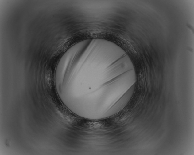 X0000093240698200710171441