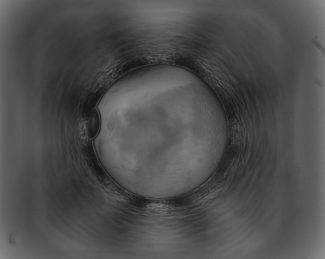 X0000093240699200710171441