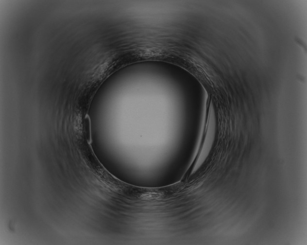 X0000093240700200710171441