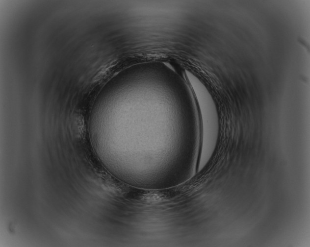 X0000093240704200710171441