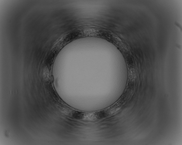 X0000093240705200710171441