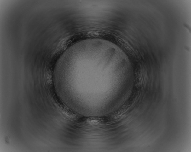 X0000093240706200710171441