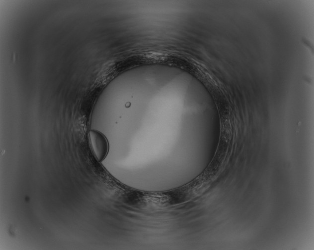 X0000093240707200710171441