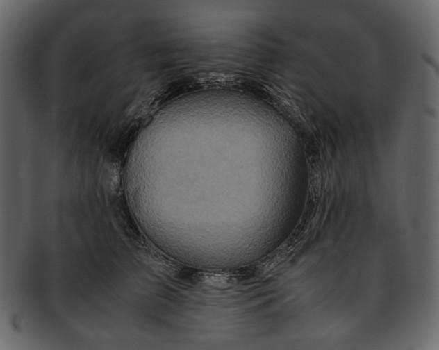 X0000093240709200710171441