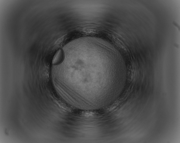 X0000093240710200710171441