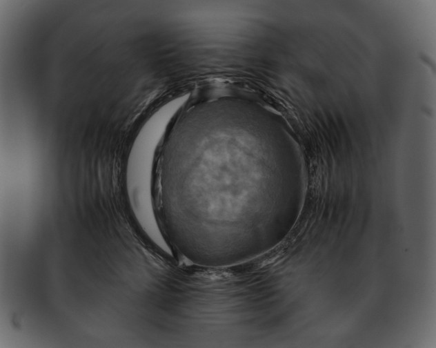 X0000093240712200710171441