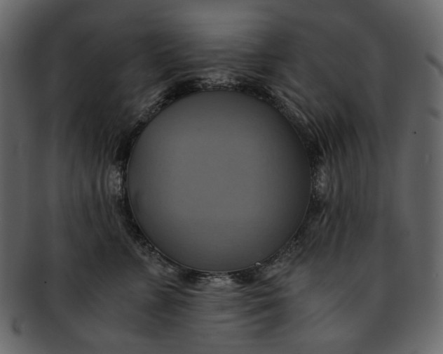 X0000093240715200710171441