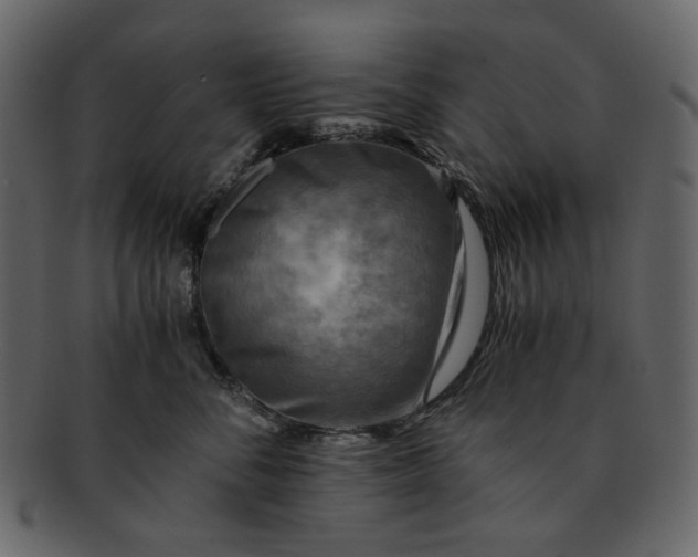 X0000093240716200710171441