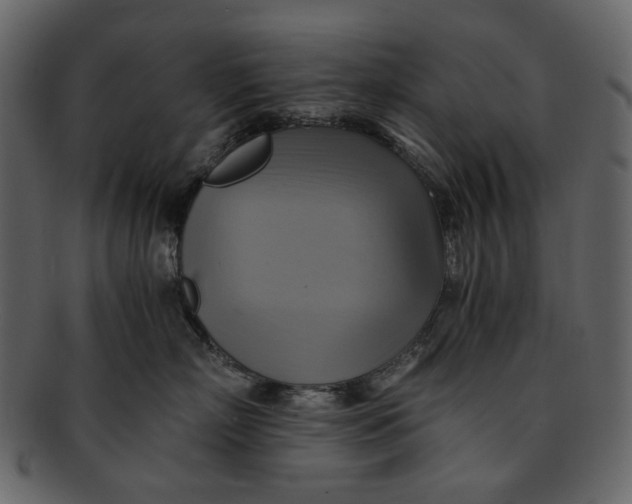 X0000093240718200710171441