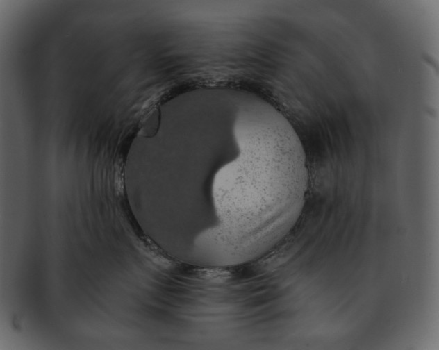 X0000093240719200710171441