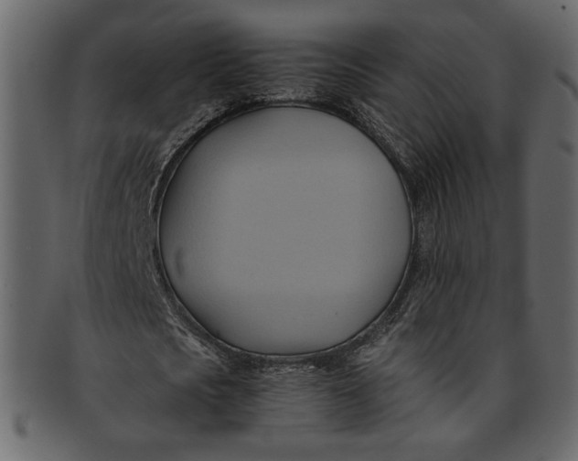 X0000093240721200710171440