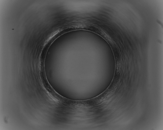 X0000093240722200710171440