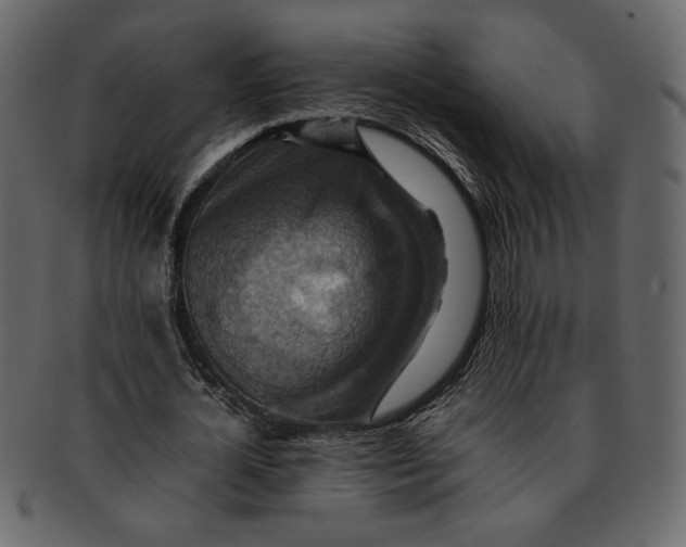 X0000093240724200710171440