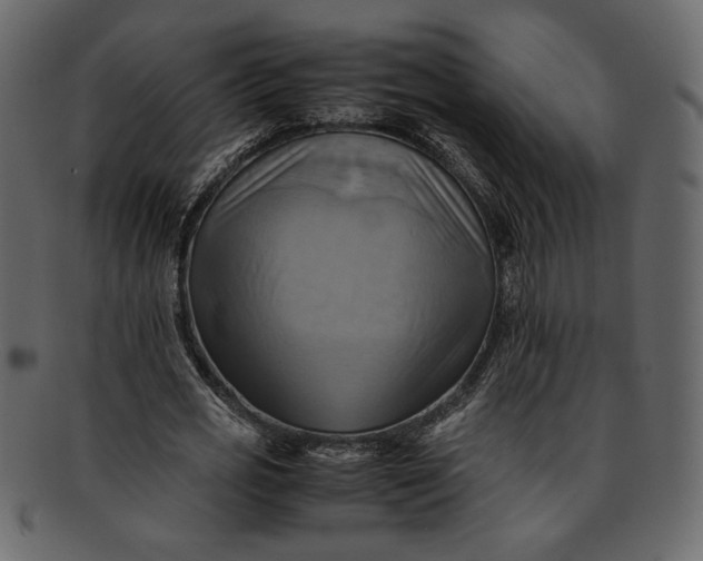 X0000093240725200710171440