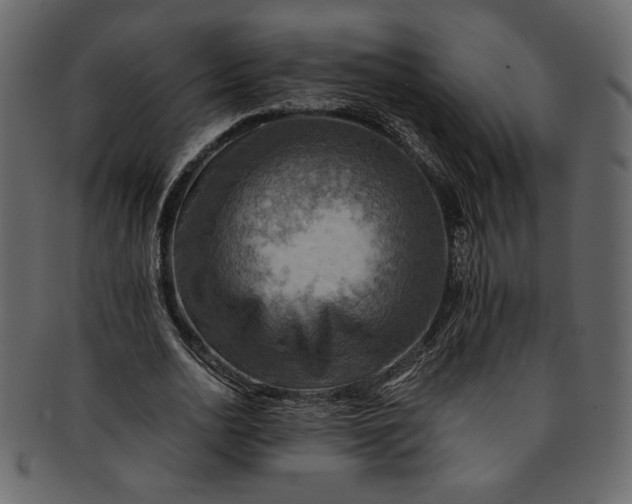 X0000093240726200710171440