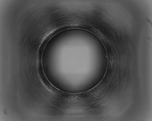 X0000093240728200710171440