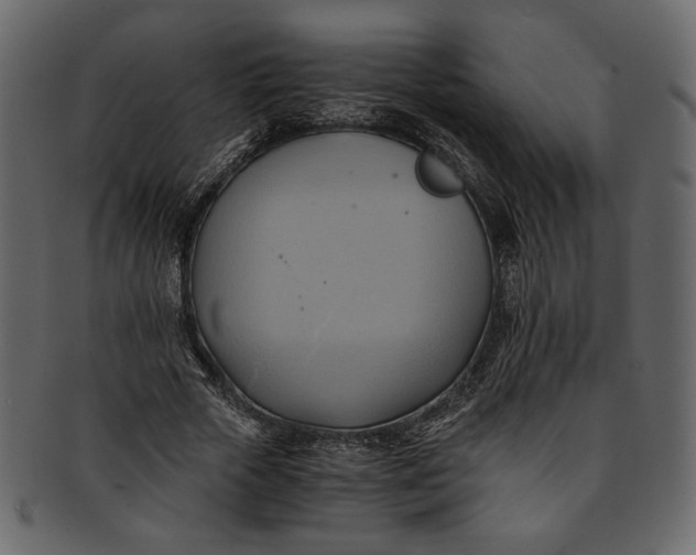 X0000093240729200710171440