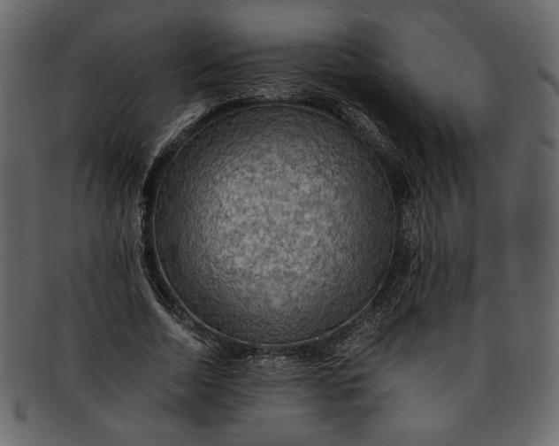 X0000093240730200710171440