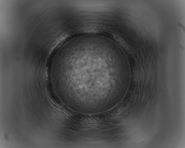 X0000093240731200710171440