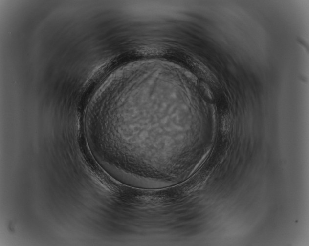 X0000093240733200710171440