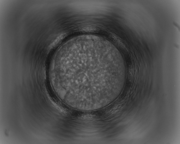 X0000093240734200710171440