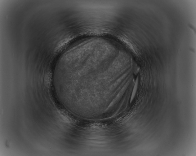 X0000093240736200710171440