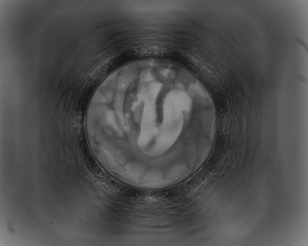 X0000093240737200710171440