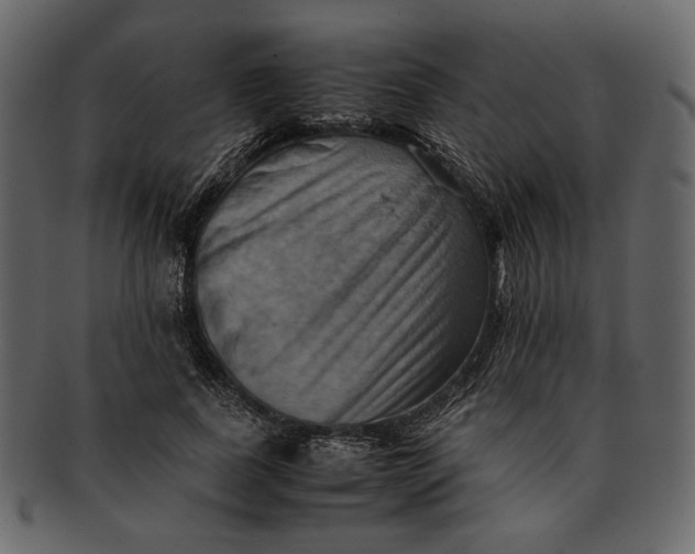 X0000093240739200710171440