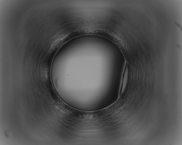 X0000093240740200710171440