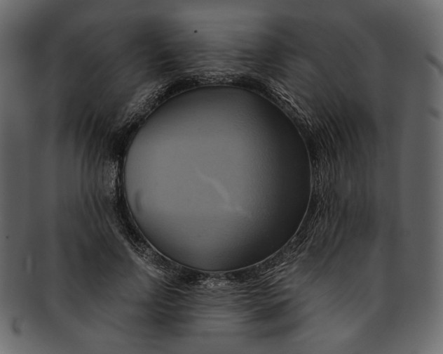 X0000093240742200710171440