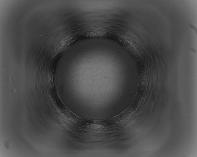 X0000093240743200710171440