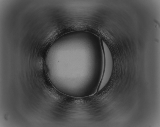 X0000093240744200710171440