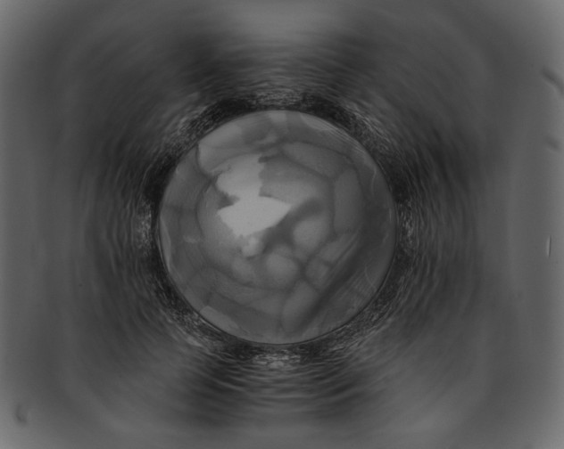 X0000093240745200710171440