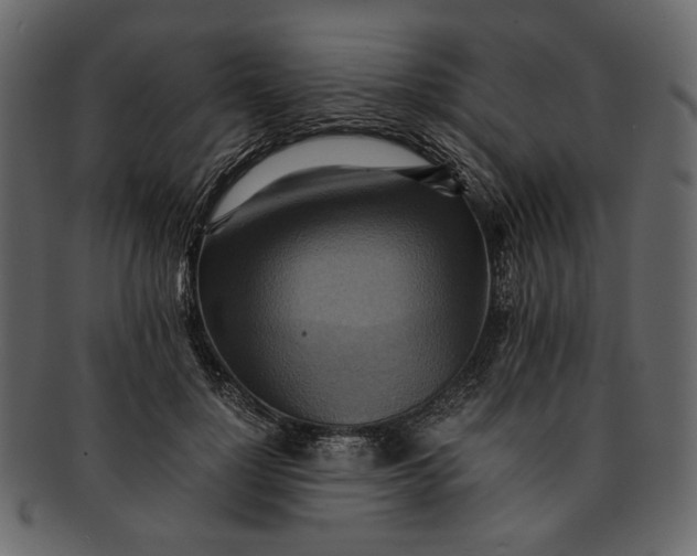 X0000093240748200710171440