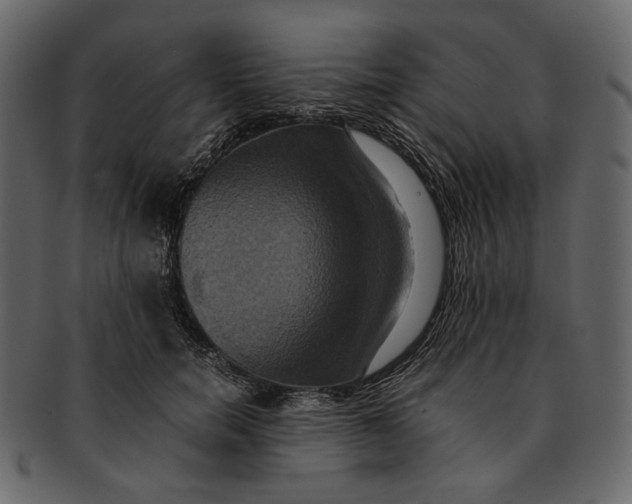 X0000093240750200710171441