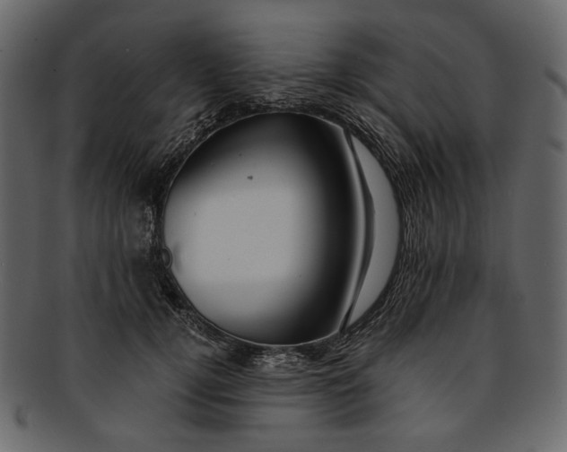 X0000093240752200710171441