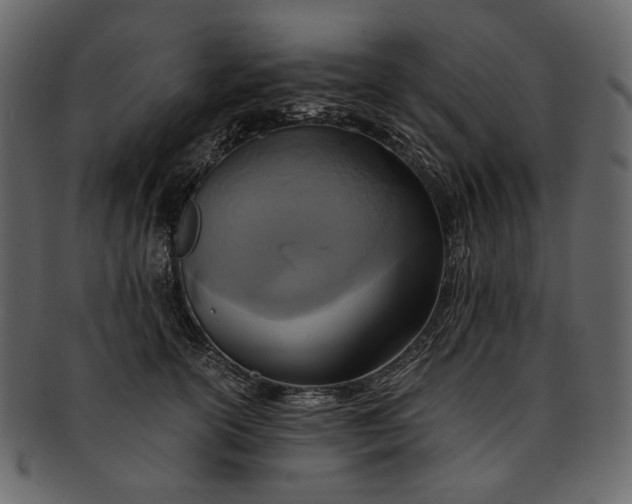 X0000093240754200710171441