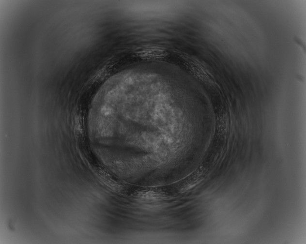 X0000093240755200710171441