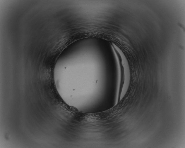 X0000093240756200710171441